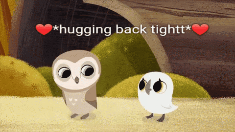 Owlie Hug Tightttt GIF