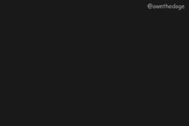 Ownthedoge Own The Doge GIF