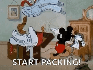 Packing Rushing GIF