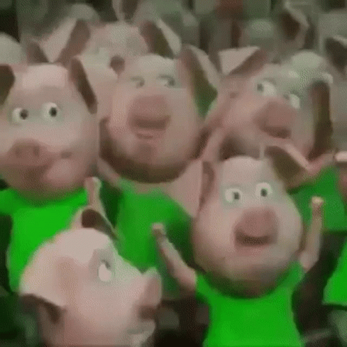 Palmeiras Porco GIF