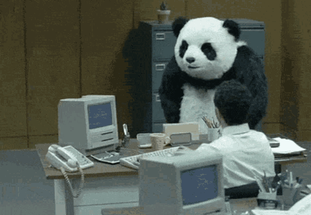 Panda Angry GIF