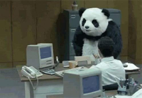Panda Angry GIF