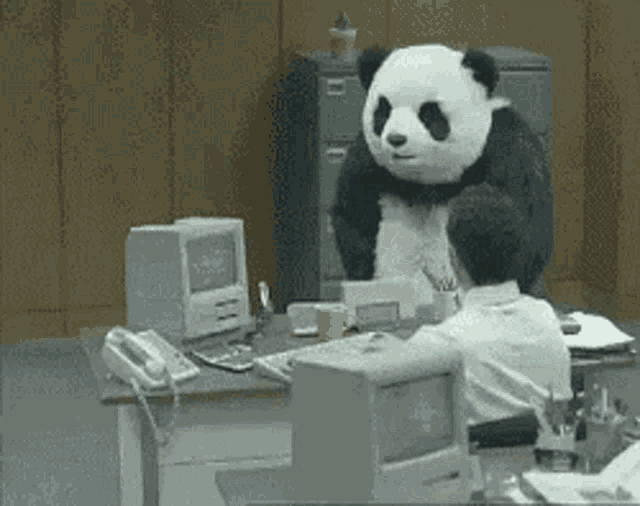 Panda Angry GIF