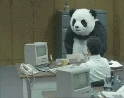 Panda Rage GIF