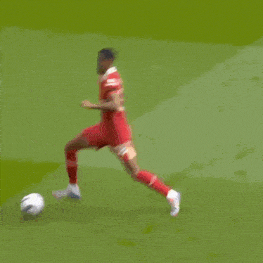 Paqueta Referee GIF