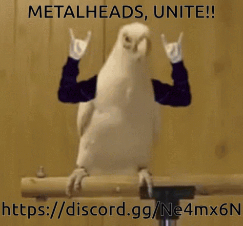 Parrot Animal GIF