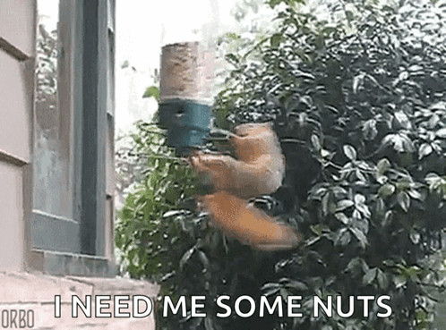 Party Going Nuts GIF