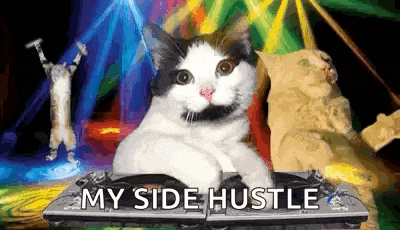 Party Party Time GIF