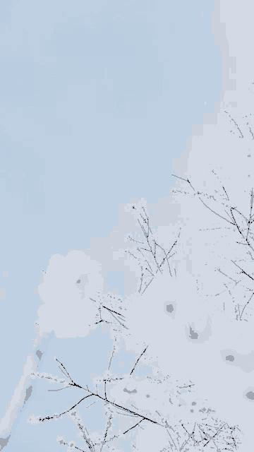 Pastel Blossoms Meme