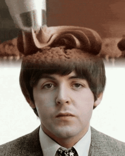 Paul Mccartney The Beatles GIF