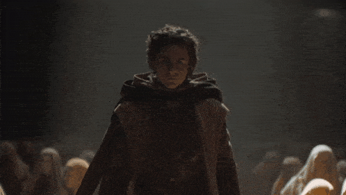 Paul Muaddib Atreides Dune Part Two GIF