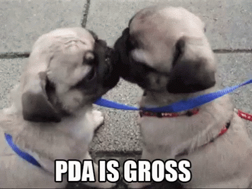 Pda Is Gross GIF