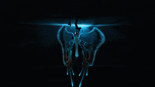 Peace Freedom GIF