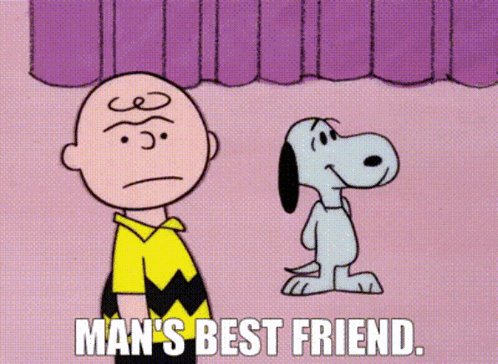 Peanuts Charlie Brown GIF