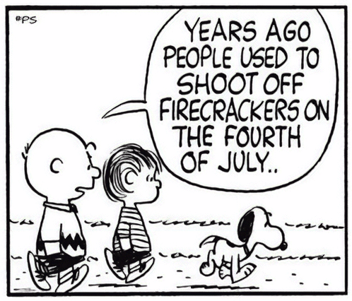 Peanuts Snoopy Happy 4th Of July Fireworks Dogs Scared Charlie Brown Independence Day GIF