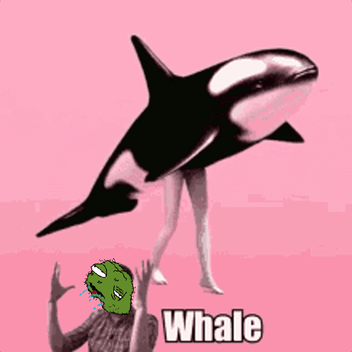 Peden GIF