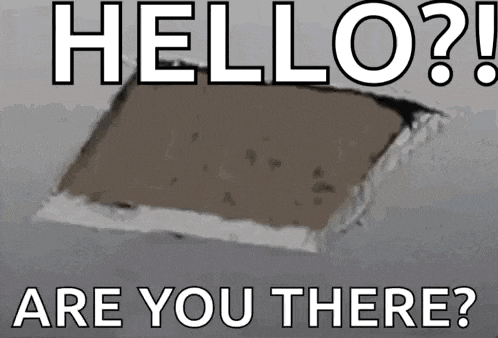 Peek Cat GIF