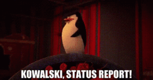 Penguins Of Madagascar Skipper GIF