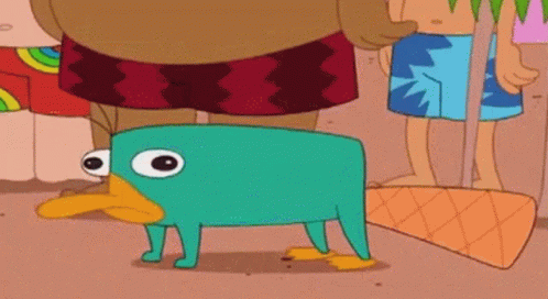 Perry Perrytheplatypus GIF