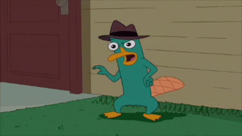 Perry The GIF