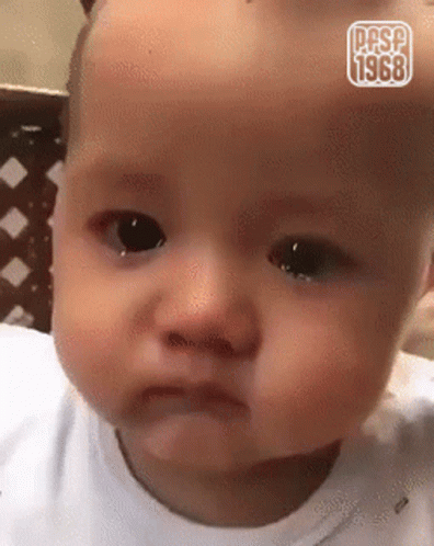 Pfsf1968 GIF