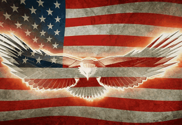 Pi Snoopy America GIF