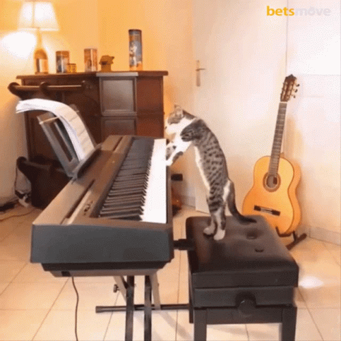 Piano Müzik GIF