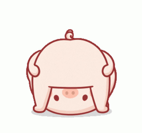 Pig GIF