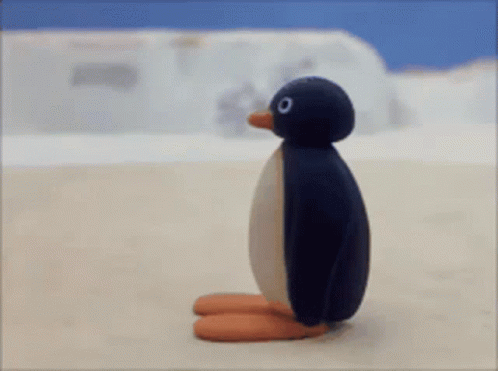Pingu Hi GIF