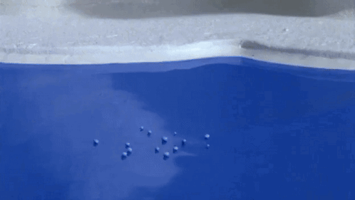 Pingu Rising From Water GIF