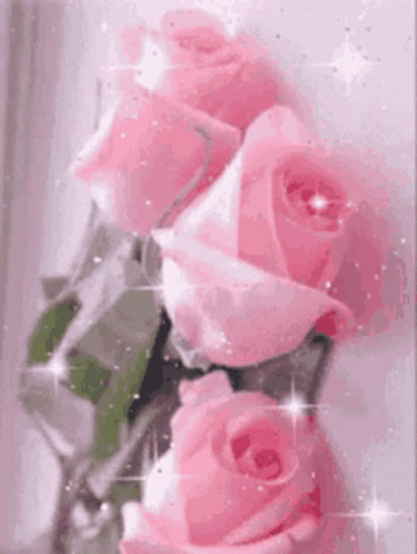 Pink Color Pink GIF