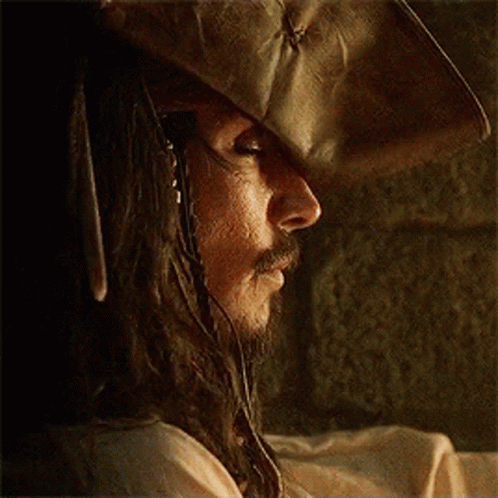 Pirates Of GIF
