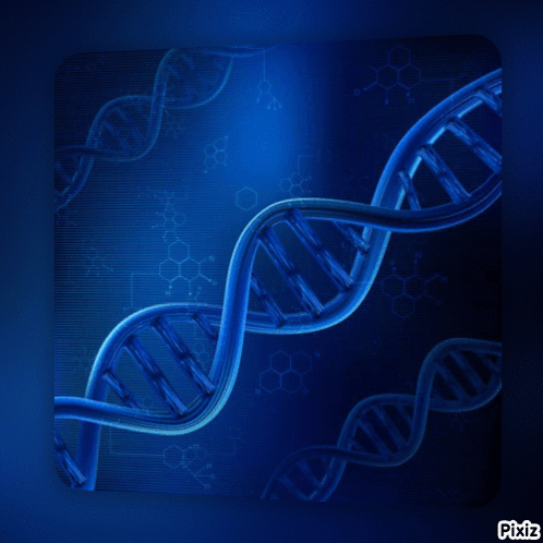 Pixiz Dna GIF