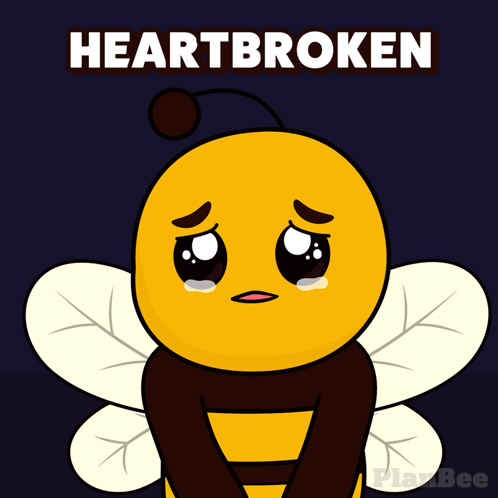 Plan B Planbee GIF