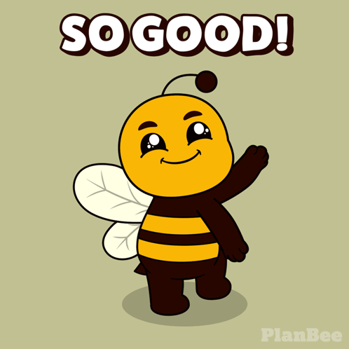 Plan B Planbee GIF