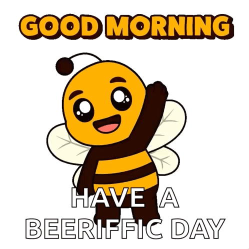 Plan B Planbee GIF