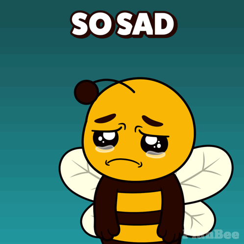 Plan B Planbee GIF