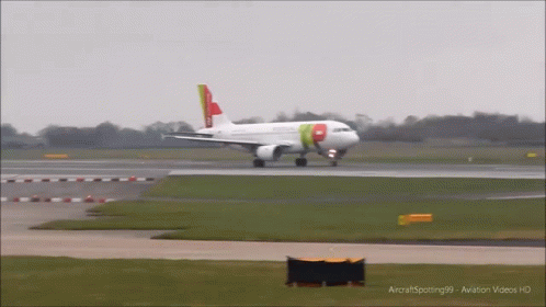 Plane Portugal GIF