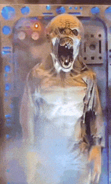 Plants Vs Zombies Zombie Land GIF