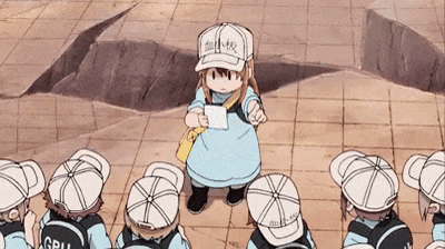 Platelets Cells At Work GIF