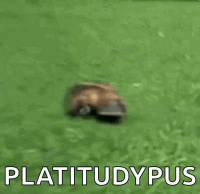 Platypus Run GIF