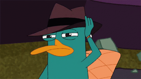 Platypus GIF
