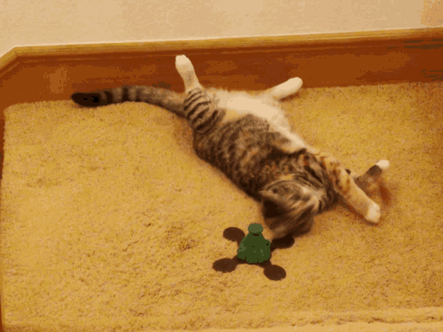 Play Butterfly GIF