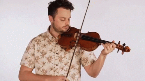 Playing Violin Rob Landes GIF