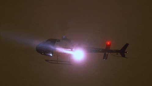 Police Search GIF