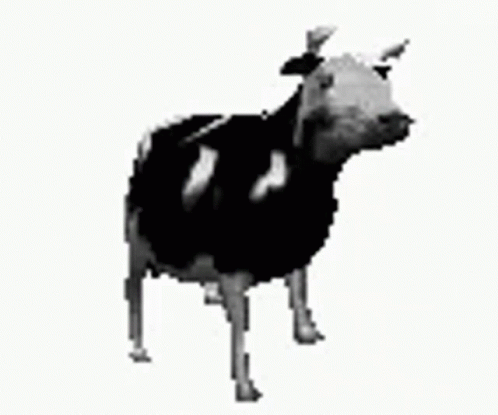 Polish Cow Cow GIF