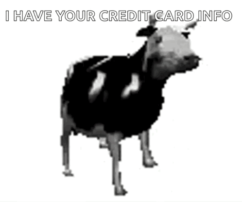 Polish Cow Cow GIF