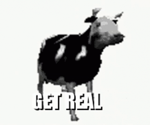 Polish Cow Meme GIF