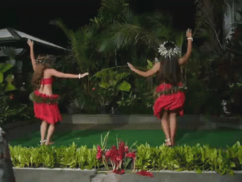 Polynesian Hips GIF