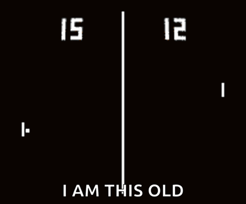 Pong Video Game GIF